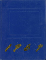 1989 Yearbook Cover